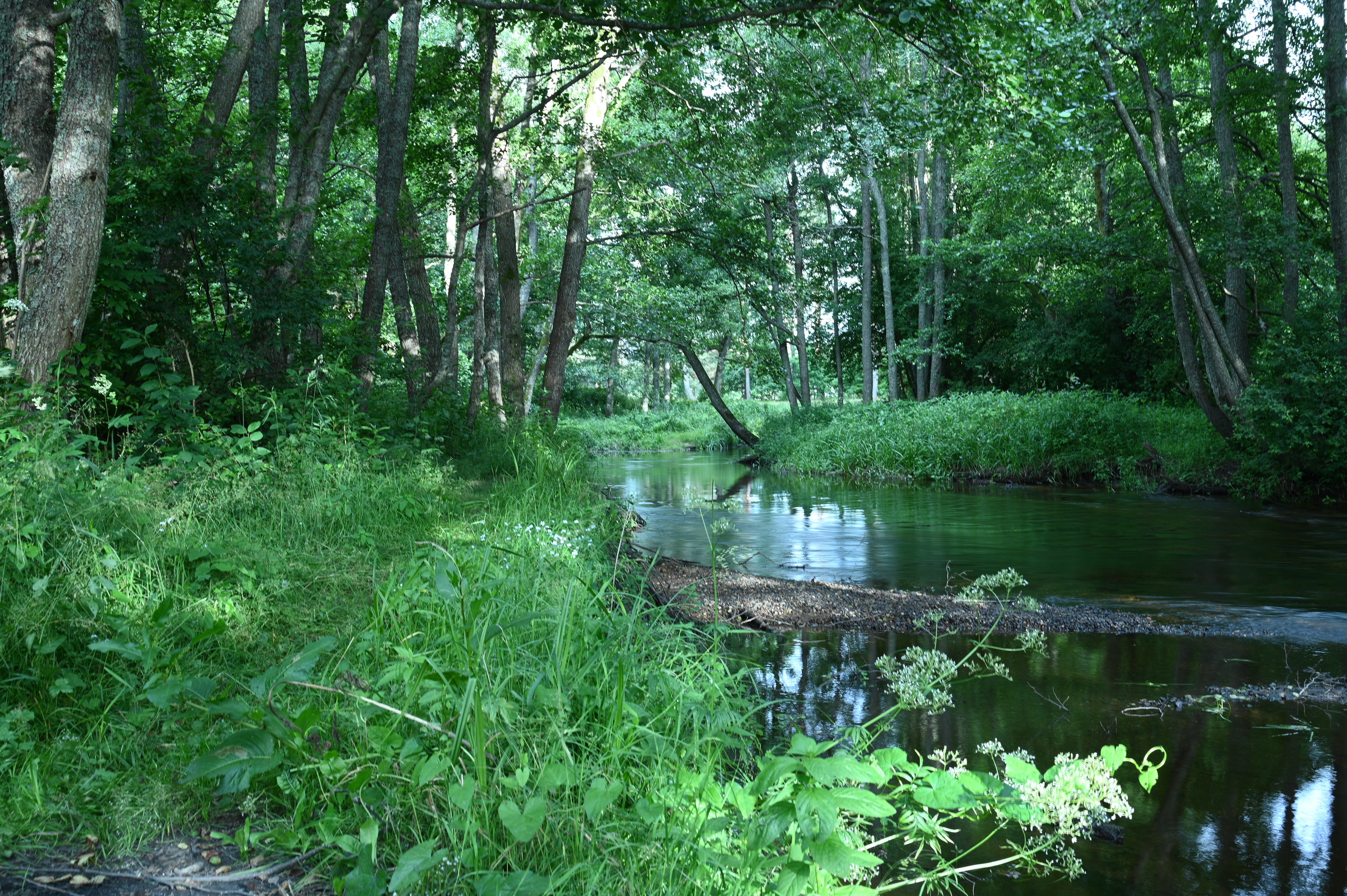 2025/07/09-14 - trip/DSC_0046.JPG